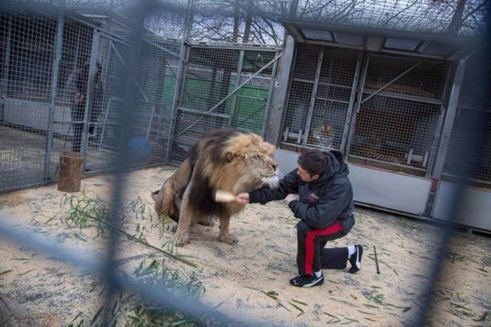 A Picture Says More Than Just A Thousand Words (49 pics)