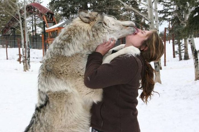 A Picture Says More Than Just A Thousand Words (49 pics)