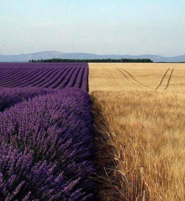 A Picture Says More Than Just A Thousand Words (49 pics)