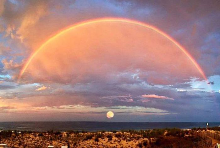 A Picture Says More Than Just A Thousand Words (49 pics)