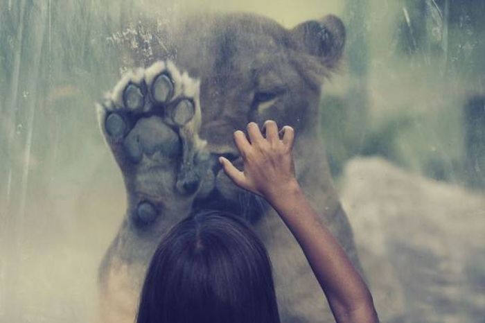 A Picture Says More Than Just A Thousand Words (49 pics)