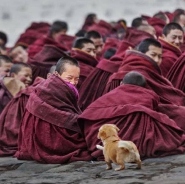 A Picture Says More Than Just A Thousand Words (49 pics)