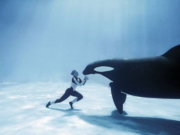 A Picture Says More Than Just A Thousand Words (49 pics)