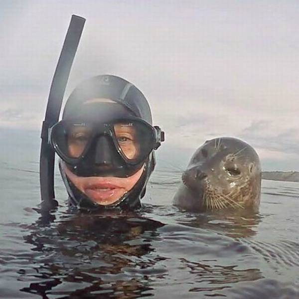 A Picture Says More Than Just A Thousand Words (49 pics)