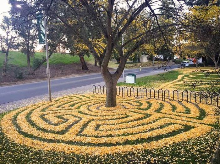 A Picture Says More Than Just A Thousand Words (49 pics)
