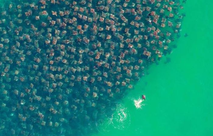 A Picture Says More Than Just A Thousand Words (49 pics)