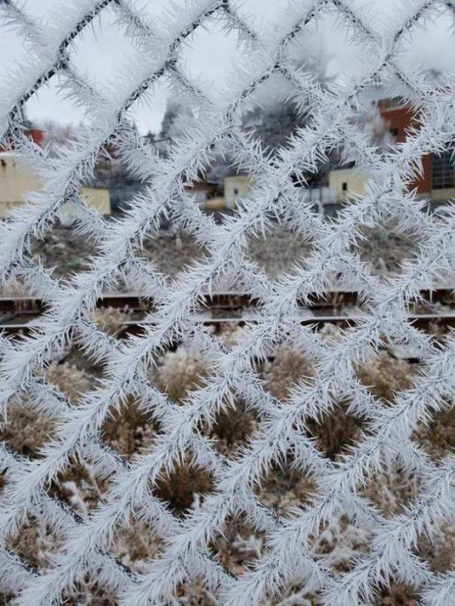 A Picture Says More Than Just A Thousand Words (49 pics)