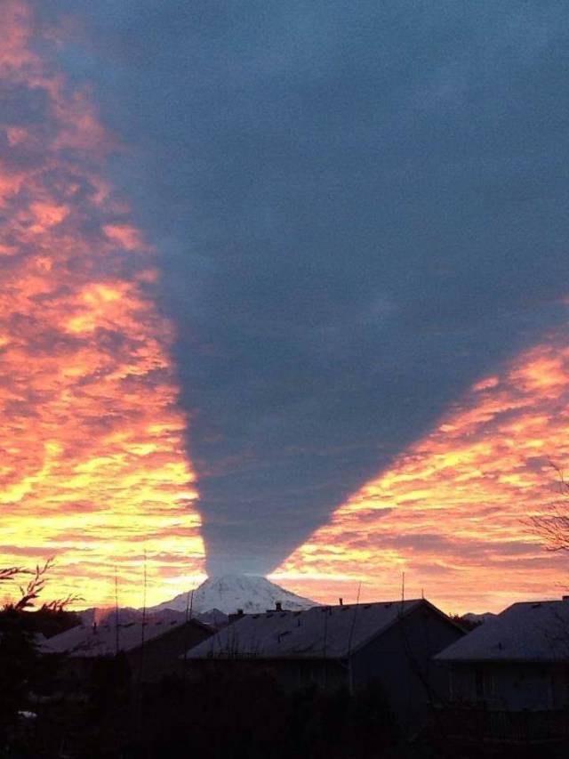 A Picture Says More Than Just A Thousand Words (49 pics)