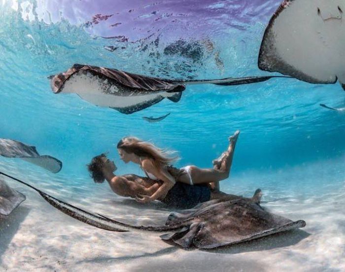 Acid Picdump (98 pics)