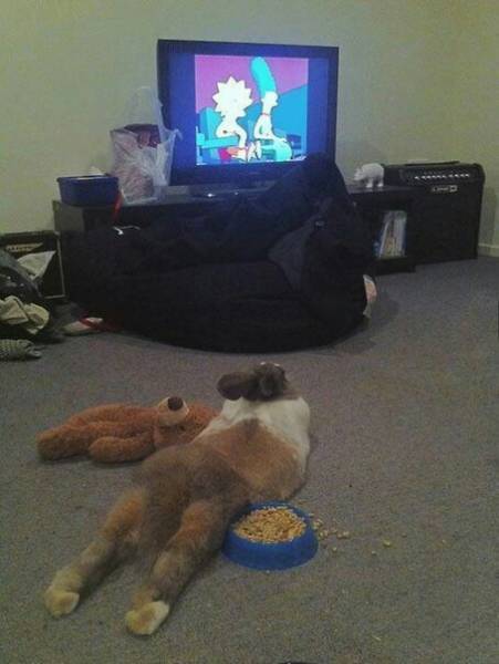 Acid Picdump (98 pics)