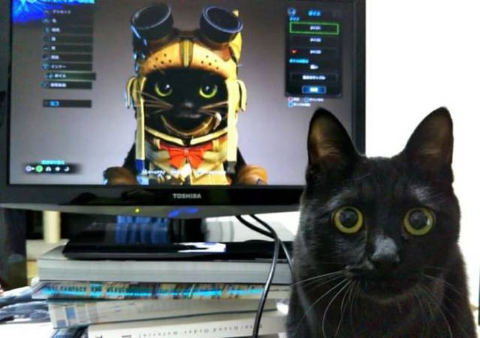 Pictures For Gamers (35 pics)