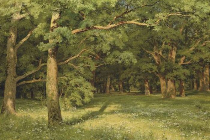 Awesome Paintings By a Russian Painter Ivan Shishkin (1832 - 1898) (21 pics)