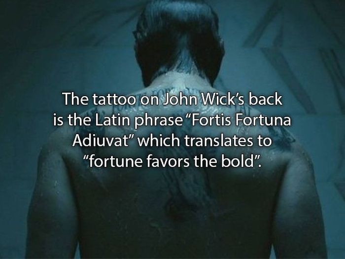John Wick Movie Facts (15 pics)
