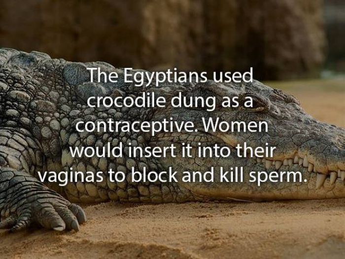 Not Very Pleasant Facts (20 pics)