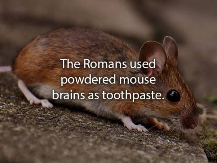 Not Very Pleasant Facts (20 pics)