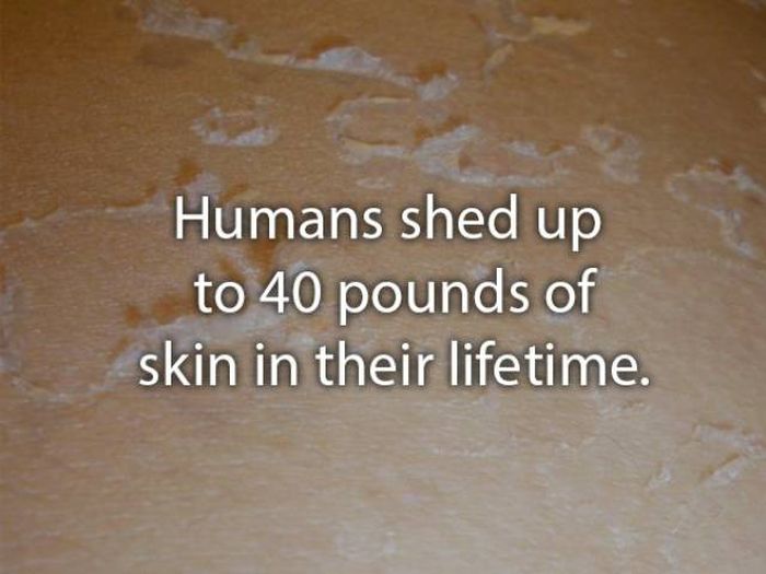 Not Very Pleasant Facts (20 pics)