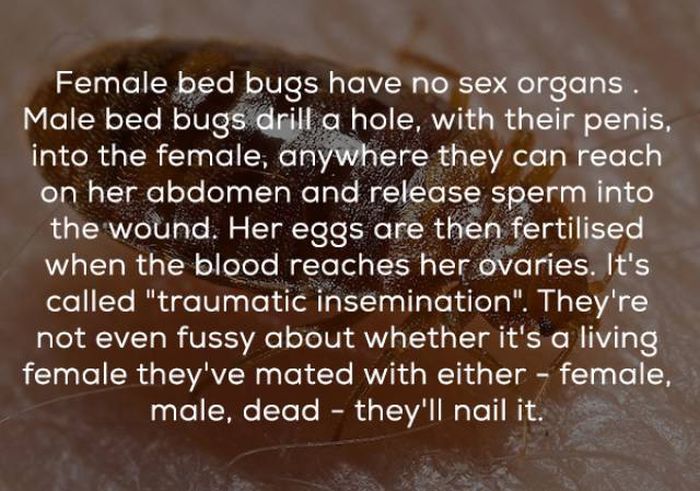 Facts About Sex (17 pics)
