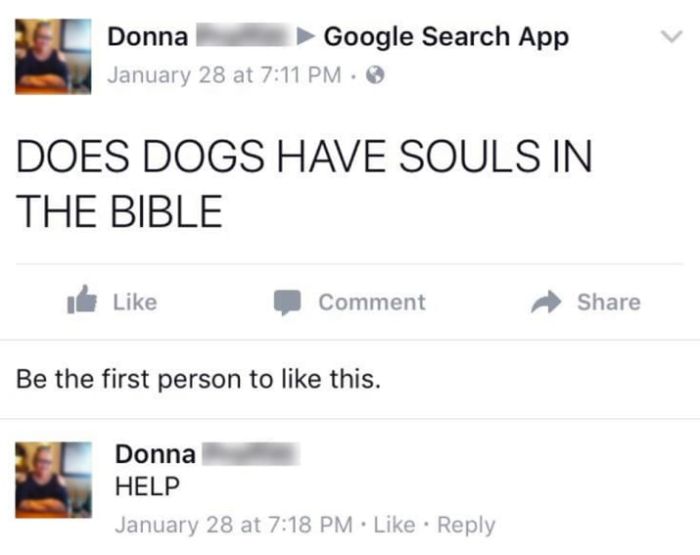 Times Old People On Facebook Tried Their Best (16 pics)