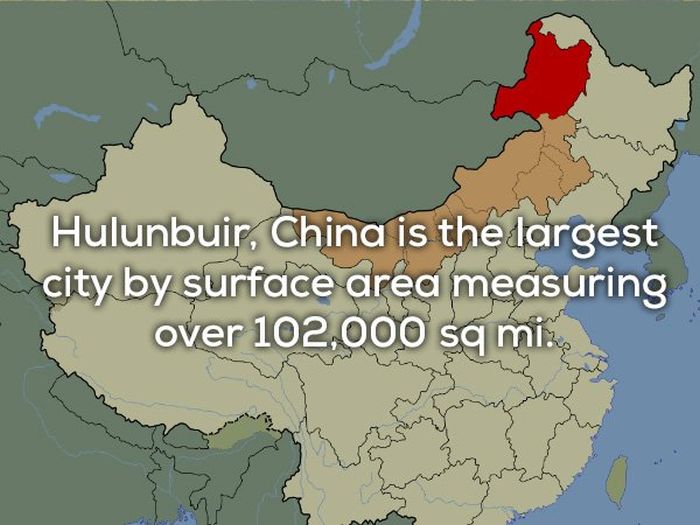 Facts About Our Planet (20 pics)