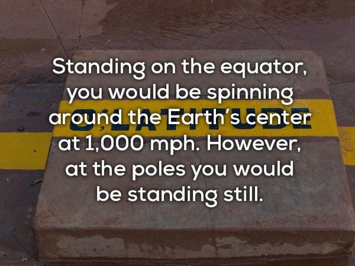 Facts About Our Planet (20 pics)