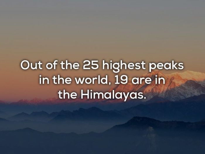 Facts About Our Planet (20 pics)
