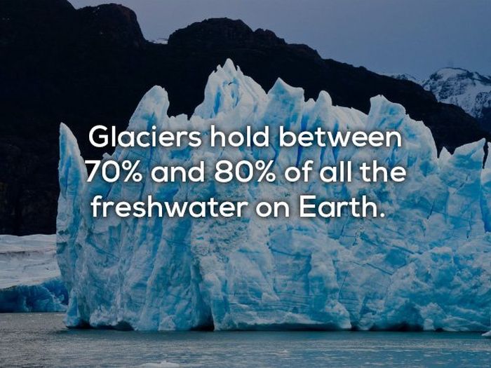 Facts About Our Planet (20 pics)