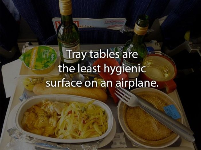Facts About Flying (15 pics)
