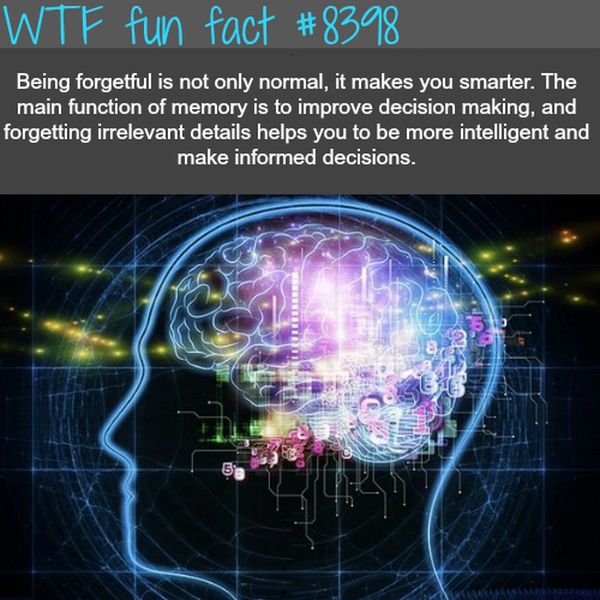 Weird Facts (30 pics)