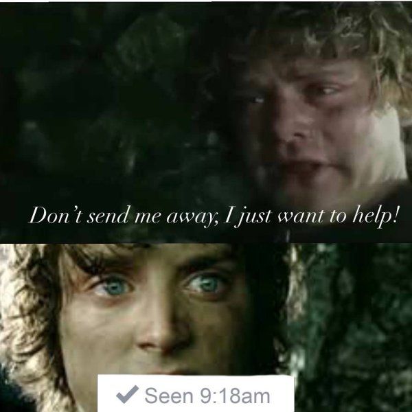  Lord of the Rings Memes (26 pics)