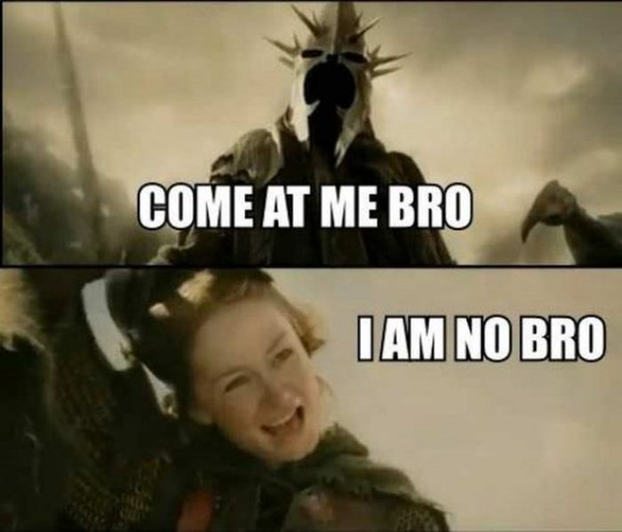  Lord of the Rings Memes (26 pics)