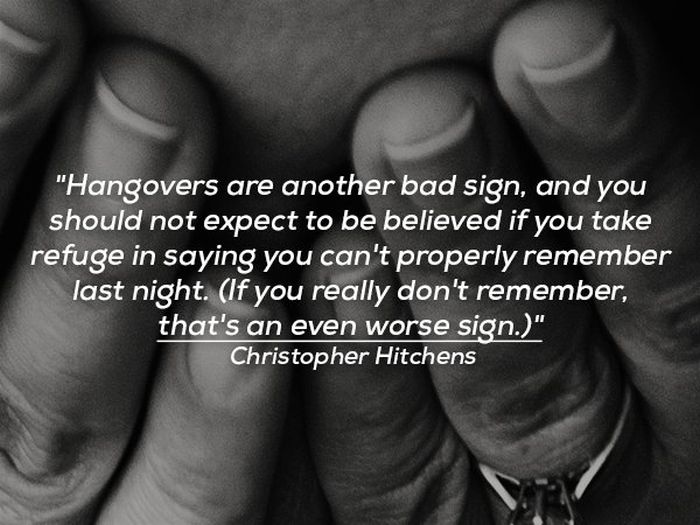 Funny Quotes About Hangovers (15 pics)