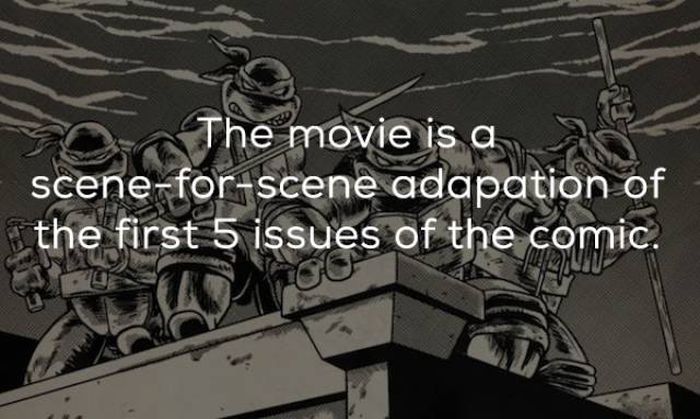 Facts About The Original Ninja Turtles Movie (20 pics)
