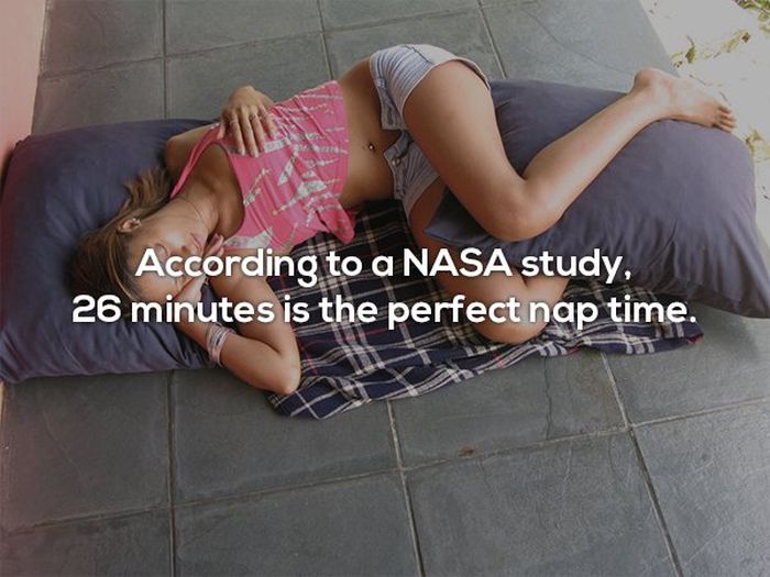 Interesting Facts (25 pics)