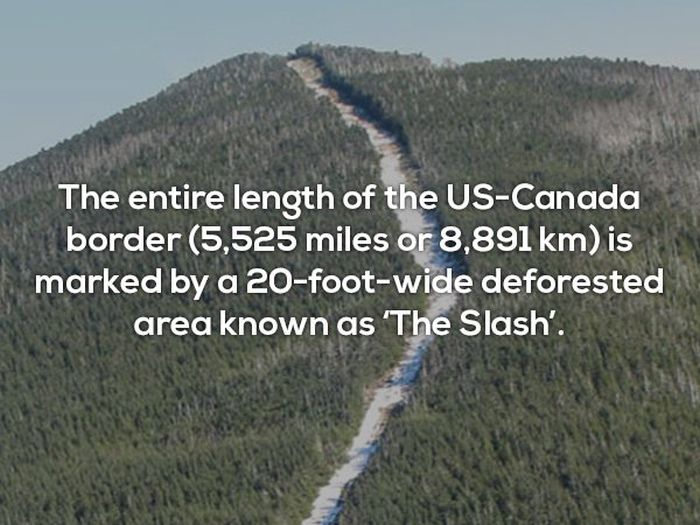 Interesting Facts (25 pics)