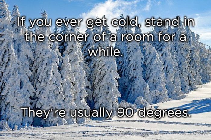 Dumb Jokes (19 pics)