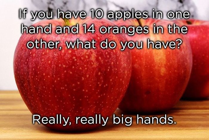 Dumb Jokes (19 pics)