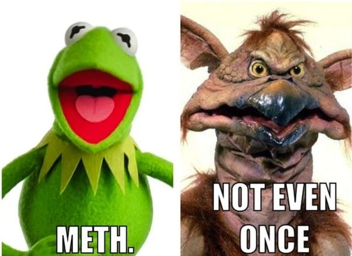 Meth: Not Even Once Meme (27 pics)