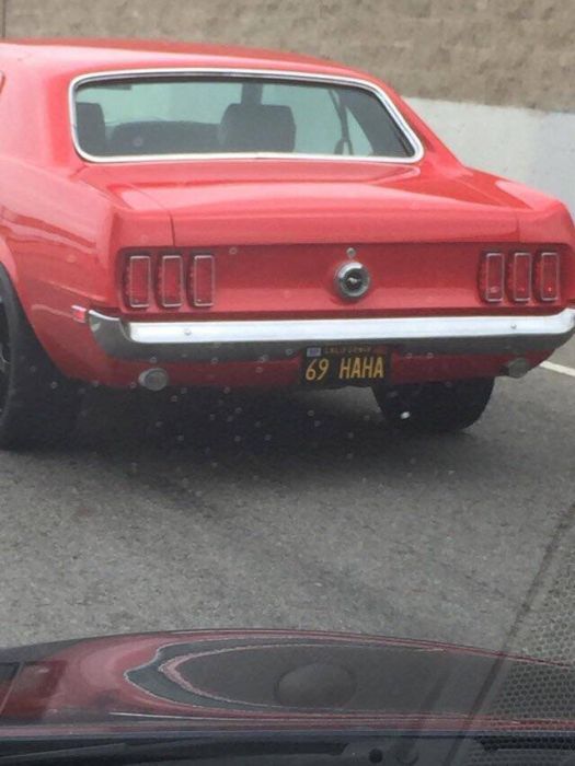 Acid Picdump (99 pics)