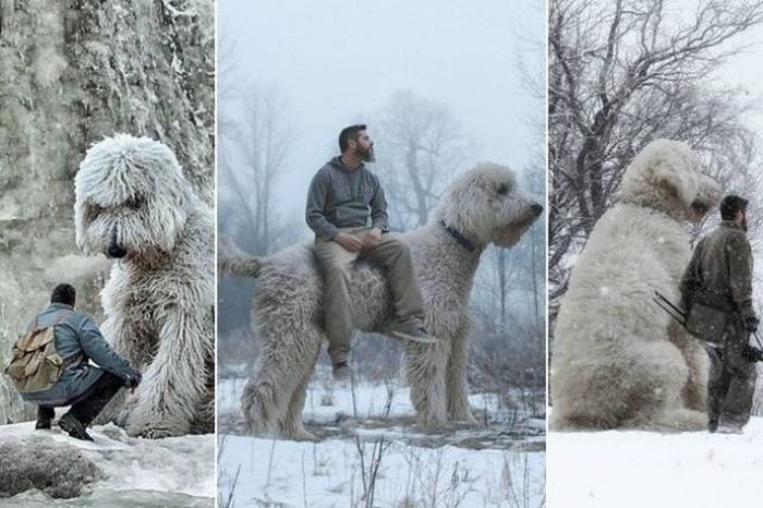 Acid Picdump (99 pics)