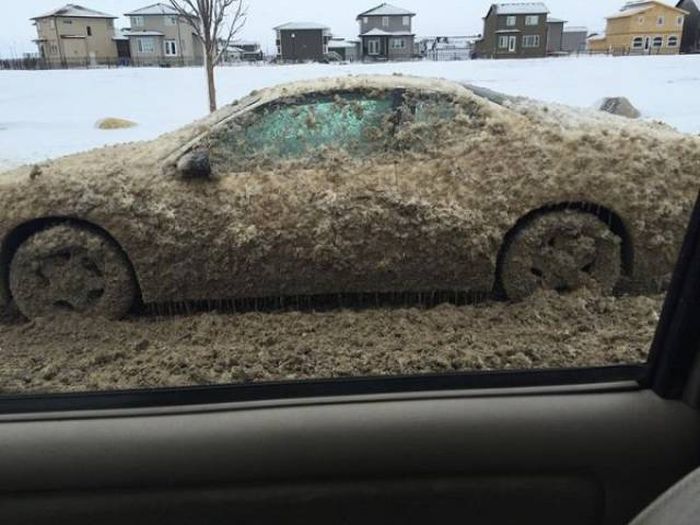 Only In Canada (40 pics)