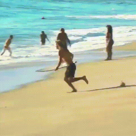 Acid Gifdump, February 15, 2018 (25 gifs)