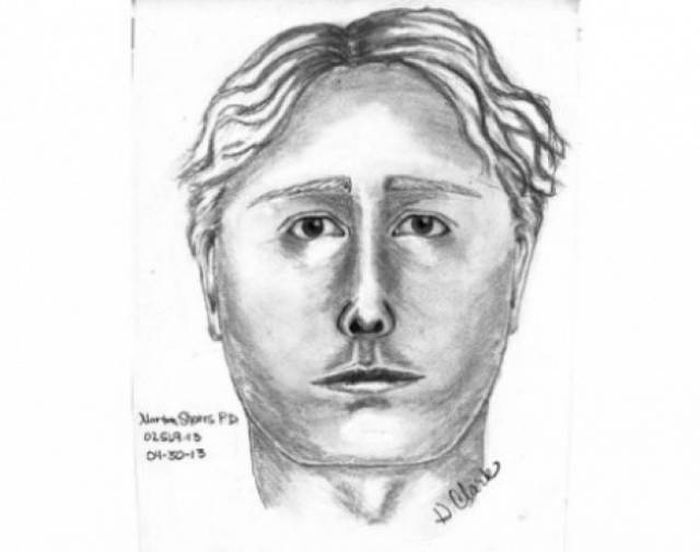 Police Sketches (27 pics)