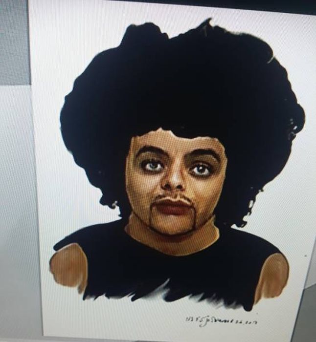 Police Sketches (27 pics)