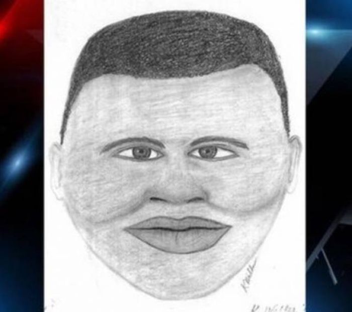 Police Sketches (27 pics)
