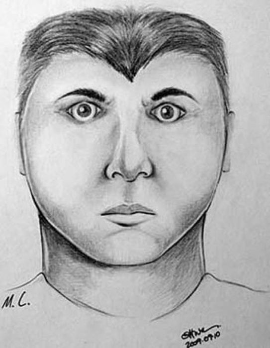 Police Sketches (27 pics)