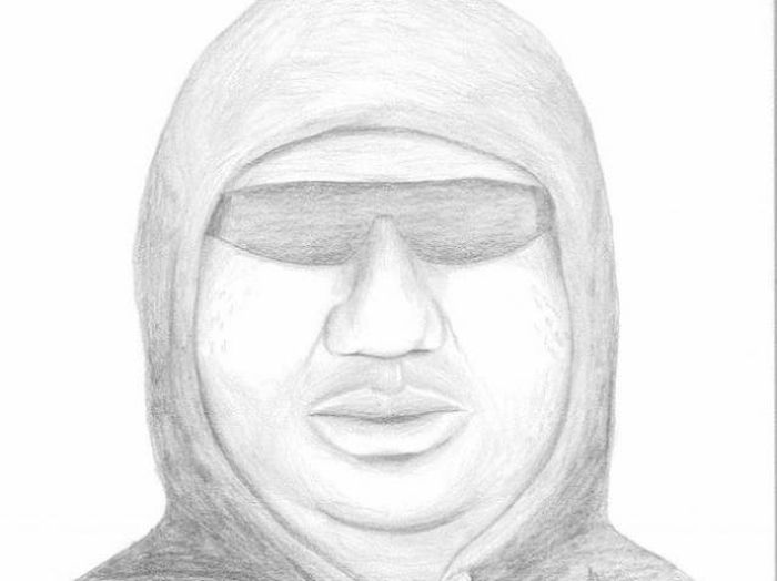 Police Sketches (27 pics)