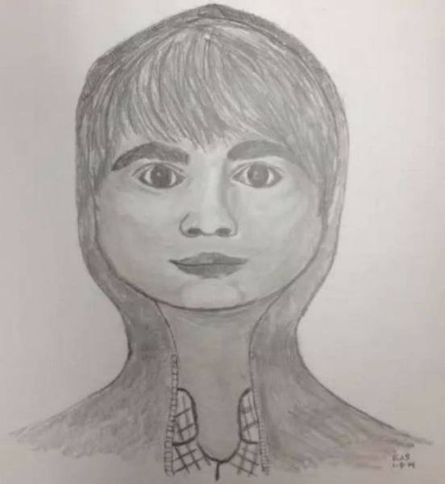 Police Sketches (27 pics)