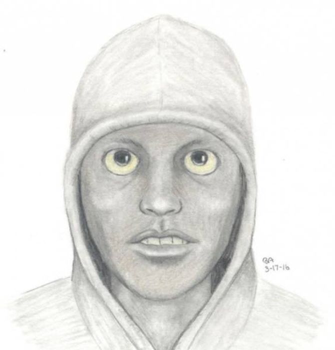 Police Sketches (27 pics)