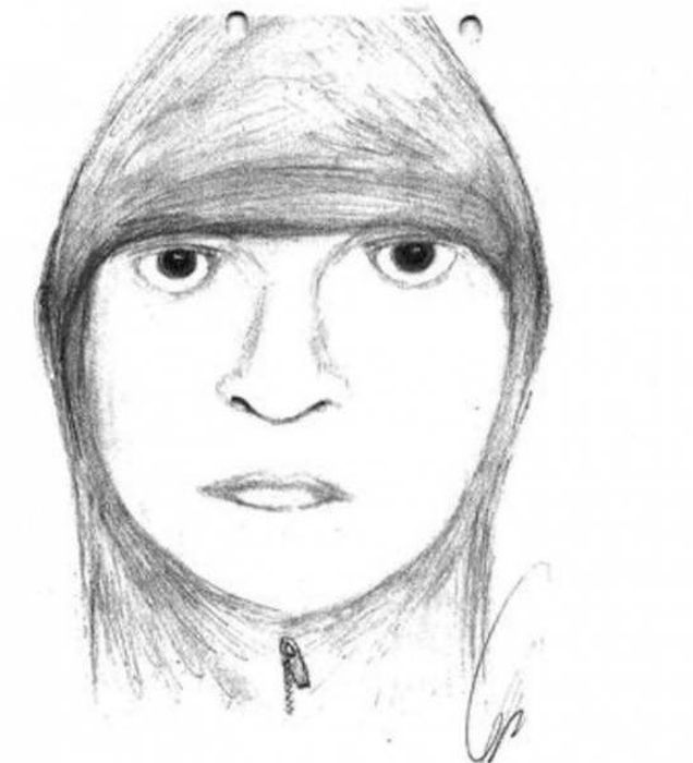 Police Sketches (27 pics)