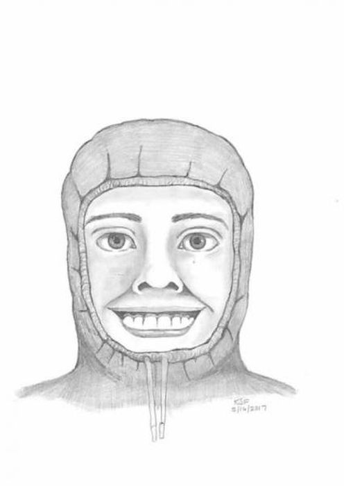 Police Sketches (27 pics)